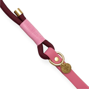 4ft Rope Lead - Mulberry