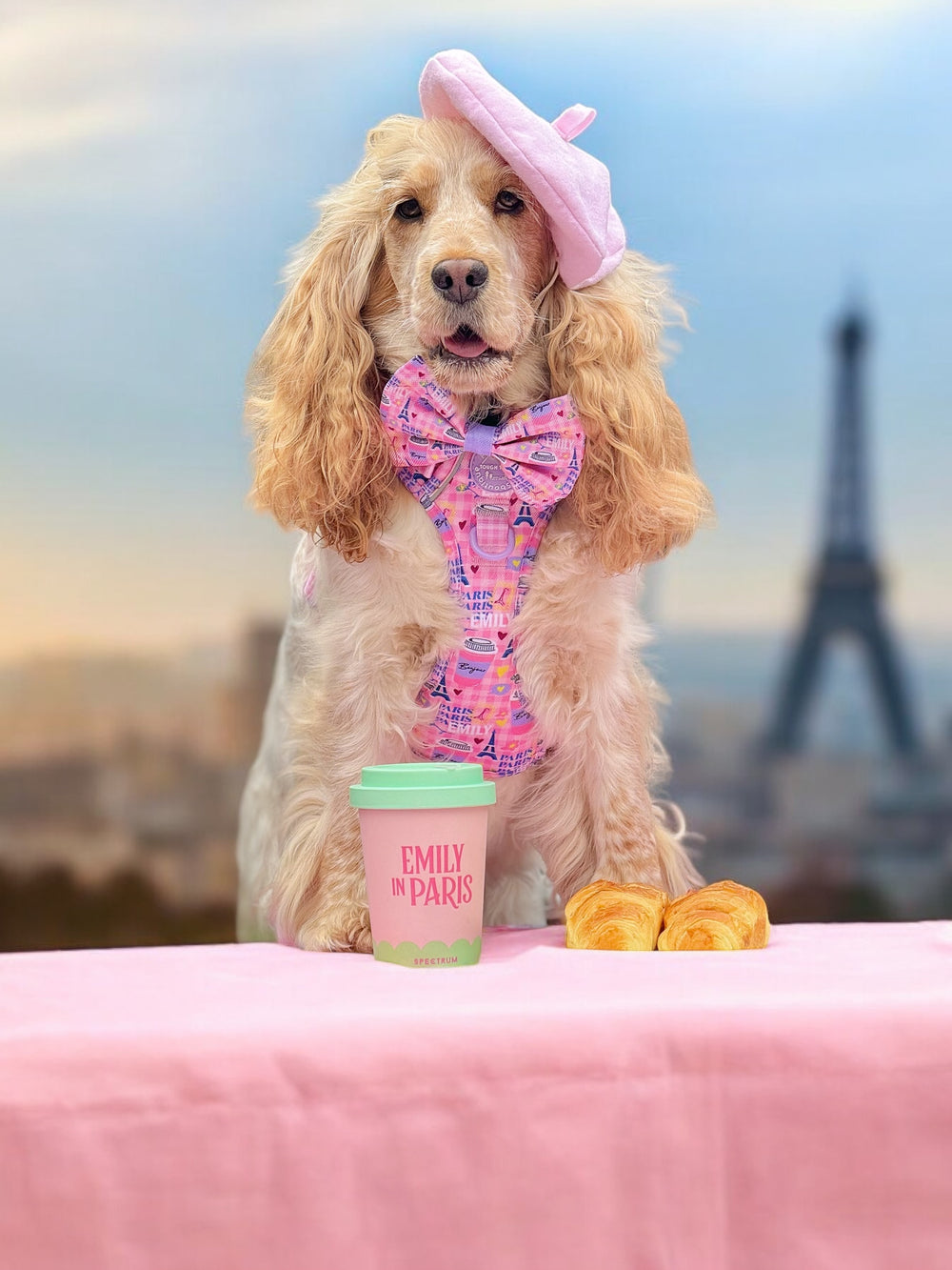 Bow Tie - Emily In Paris