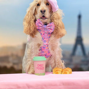 Bow Tie - Emily In Paris