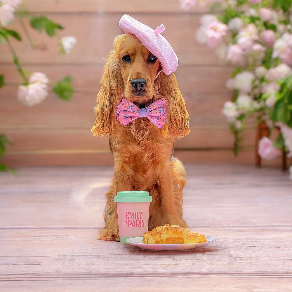 Bow Tie - Emily In Paris