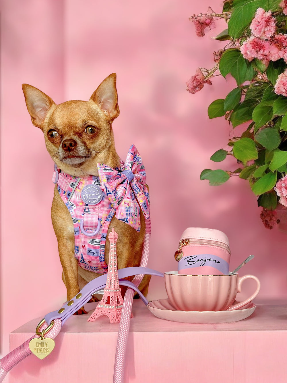 4ft Rope Lead - Emily In Paris