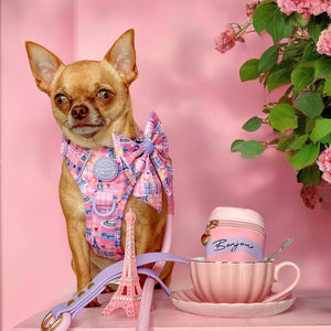 4ft Rope Lead - Emily In Paris