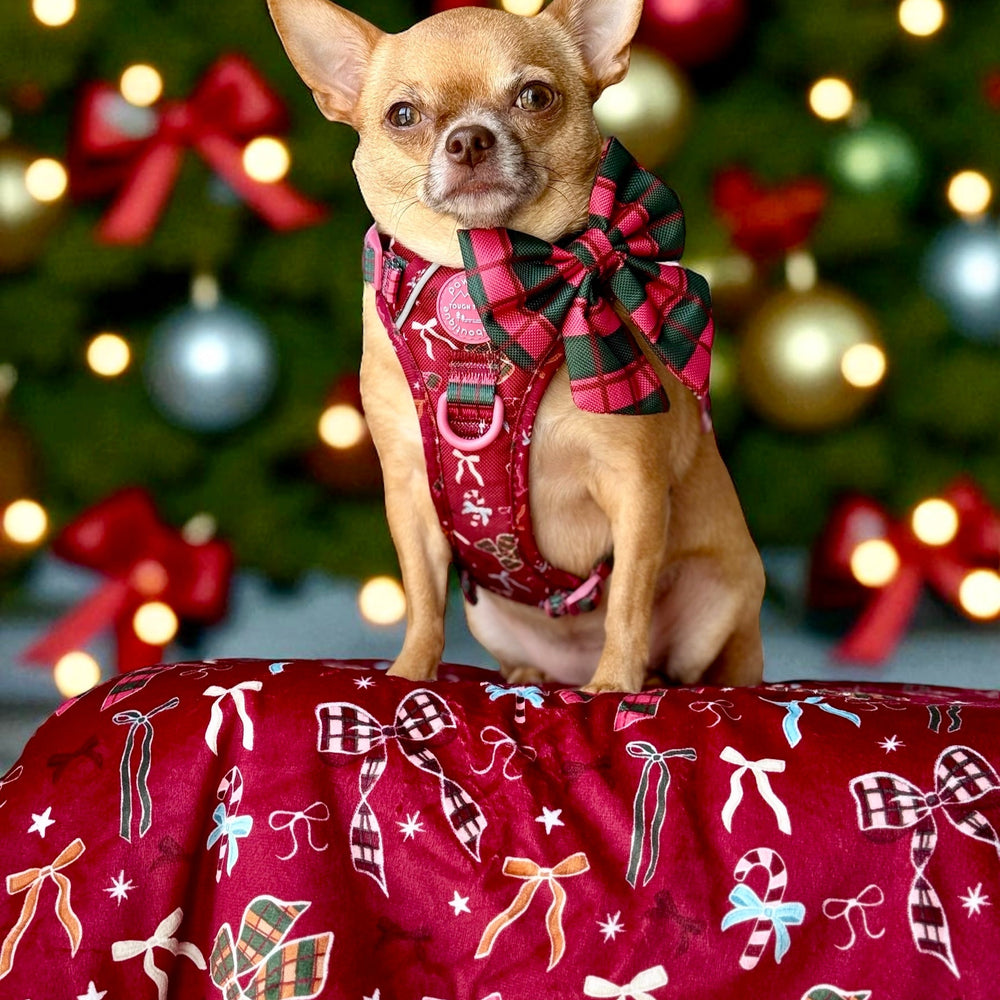 Dog Blanket - Bows Of Joy
