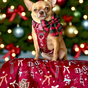 Dog Blanket - Bows Of Joy