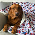 Paddington™ Dog Blanket - London