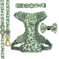 Rex Ultimate Bundle