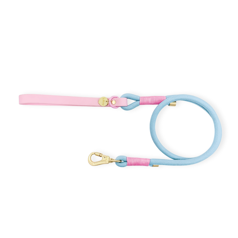 Disney© 4ft Rope Lead - Mad Hatters Tea Party