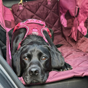 Car Seat Cover - Walkies Ready® Mulberry
