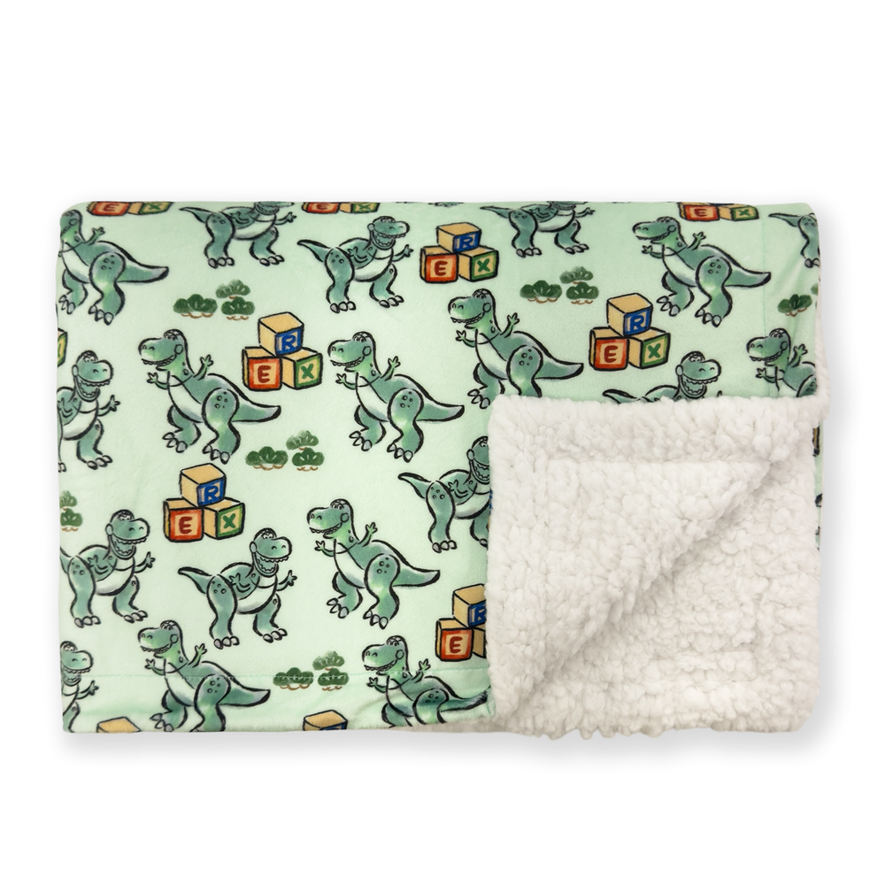 Disney© Dog Blanket - Rex