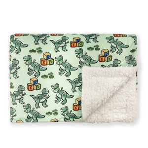 Disney© Dog Blanket - Rex