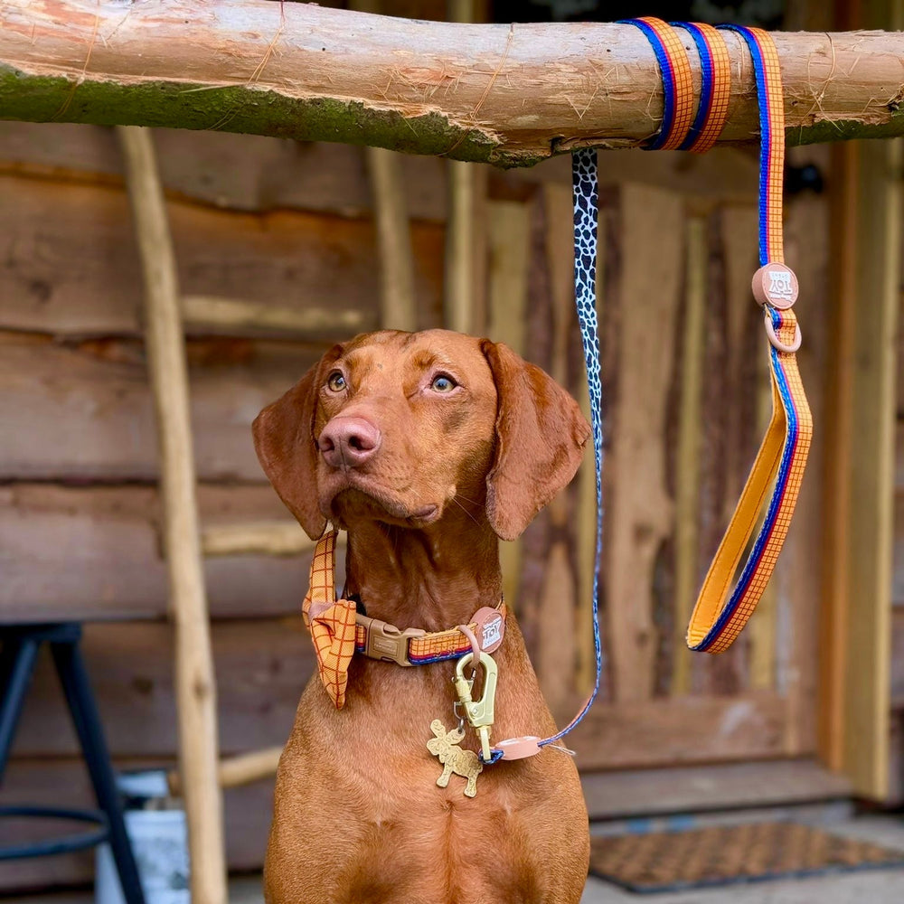 Disney© Lead - Woody