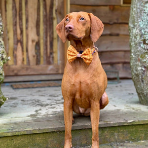 Disney© Bow Tie - Woody