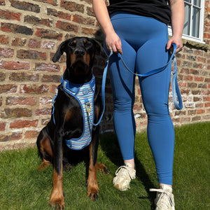 Lead - Sailor Stripes