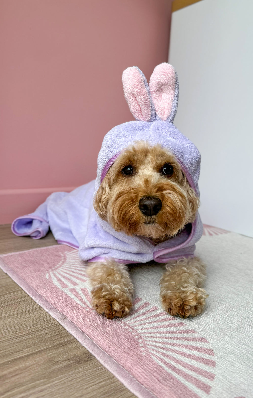 Disney© Hooded Microfibre Towel - Bambi + Friends Lilac