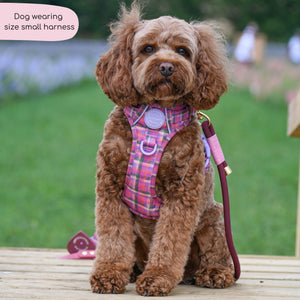 Tough Trails™ Harness -  Tweed Sunset