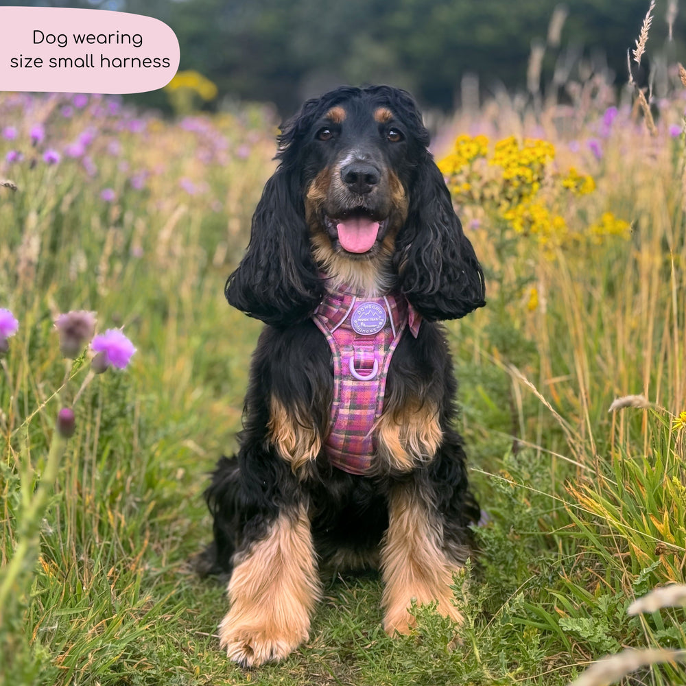 Tough Trails™ Harness -  Tweed Sunset