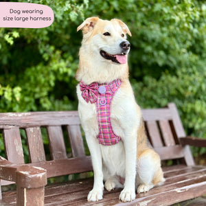 Tough Trails™ Harness -  Tweed Sunset