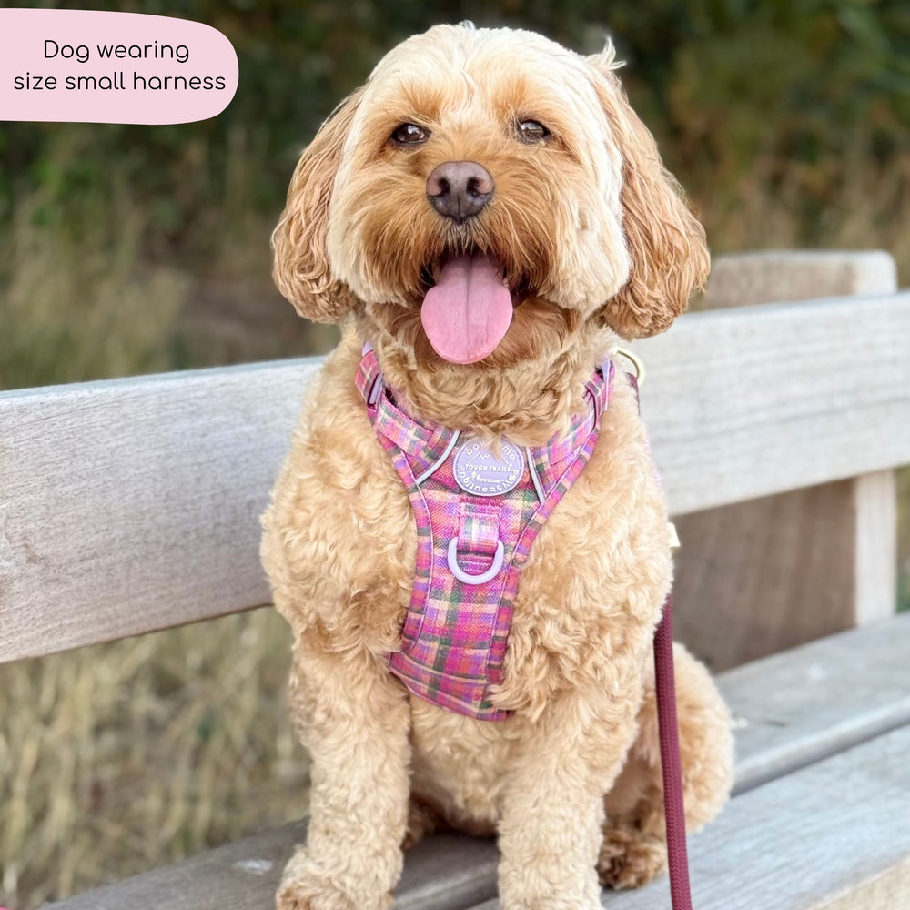 Tough Trails™ Harness -  Tweed Sunset