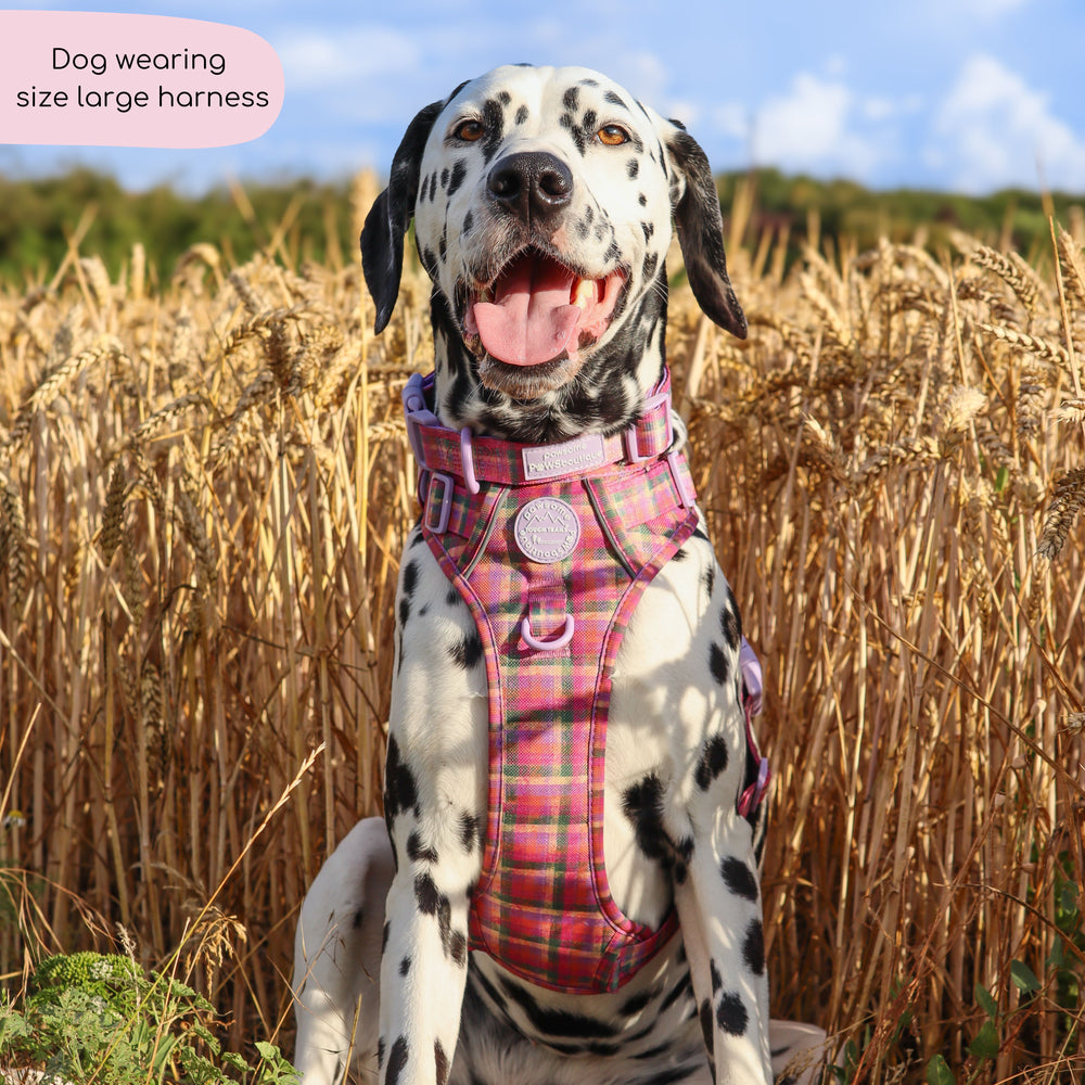 Tough Trails™ Harness -  Tweed Sunset