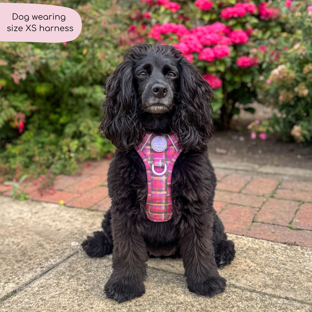 Tough Trails™ Harness -  Tweed Sunset