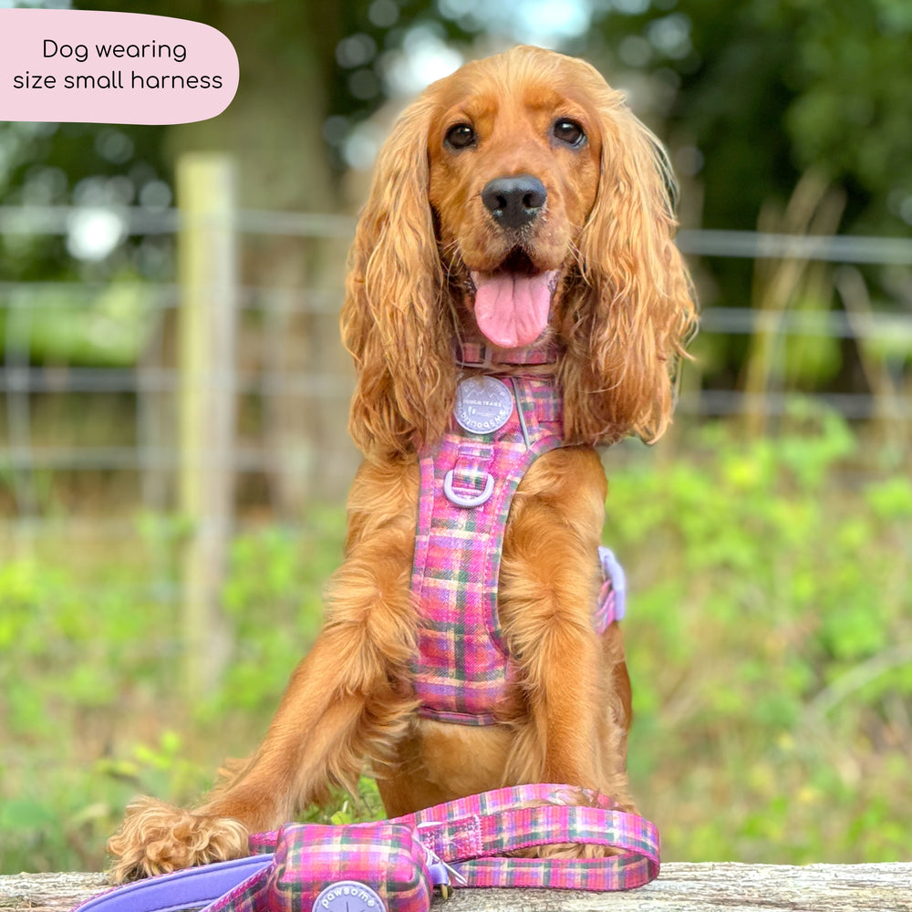 Tough Trails™ Harness -  Tweed Sunset