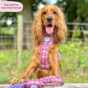 Tough Trails™ Harness -  Tweed Sunset