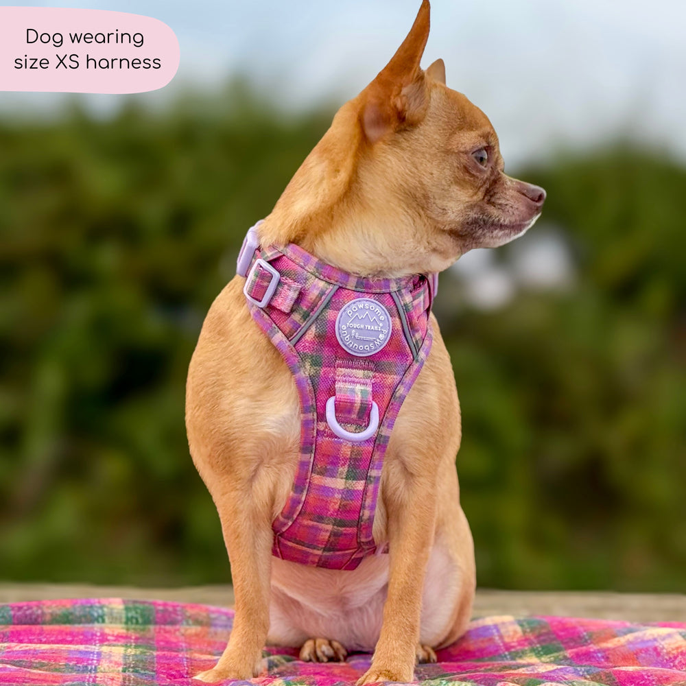 Tough Trails™ Harness -  Tweed Sunset