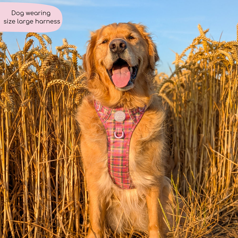 Tough Trails™ Harness -  Tweed Sunset