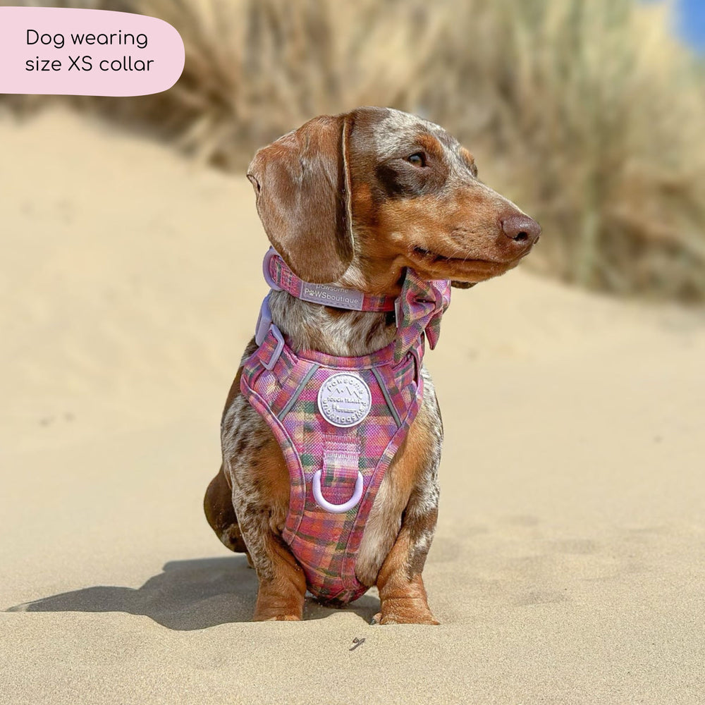 Collar - Tweed Sunset