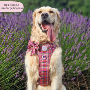 Tough Trails™ Harness -  Tweed Sunset