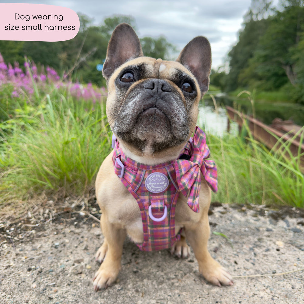 Tough Trails™ Harness -  Tweed Sunset