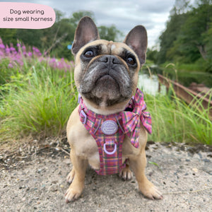 Tough Trails™ Harness -  Tweed Sunset