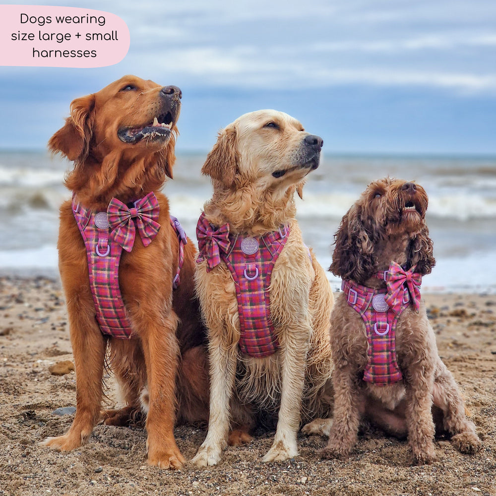 Tough Trails™ Harness -  Tweed Sunset