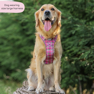 Tough Trails™ Harness -  Tweed Sunset