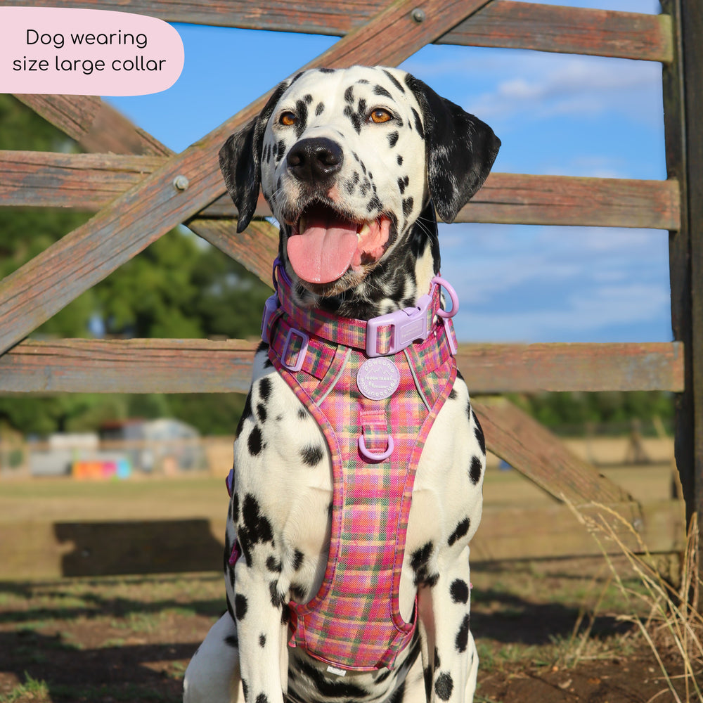 Collar - Tweed Sunset