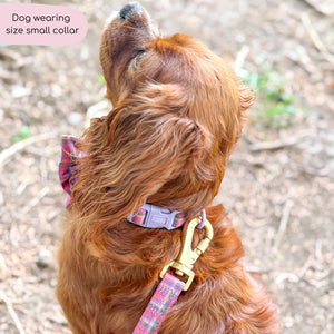 Collar - Tweed Sunset