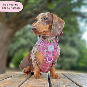 Tough Trails™ Harness -  Tweed Sunset