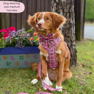 Tough Trails™ Harness -  Tweed Sunset