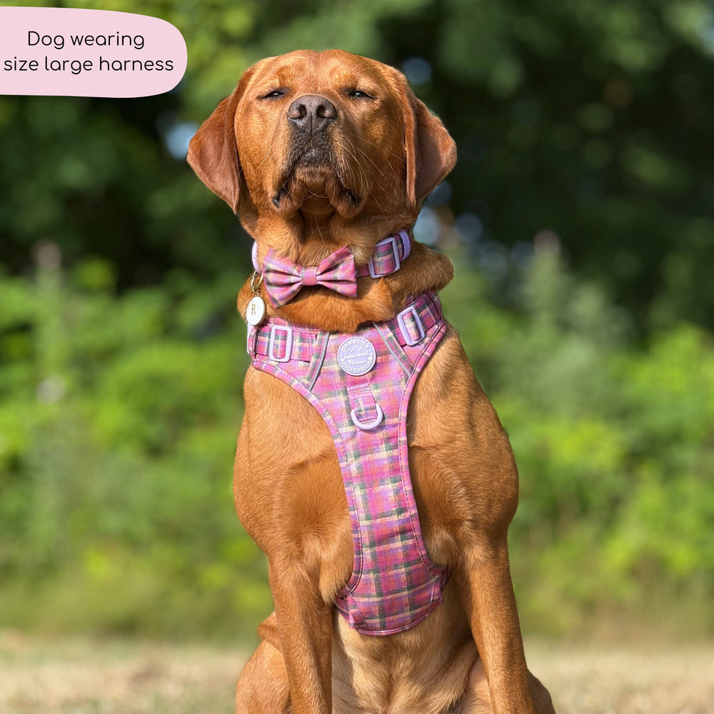 Tough Trails™ Harness -  Tweed Sunset