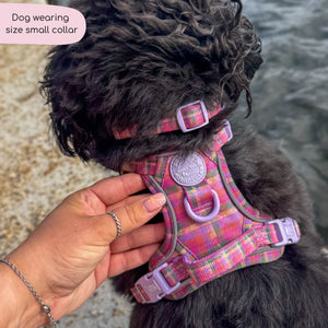 Collar - Tweed Sunset