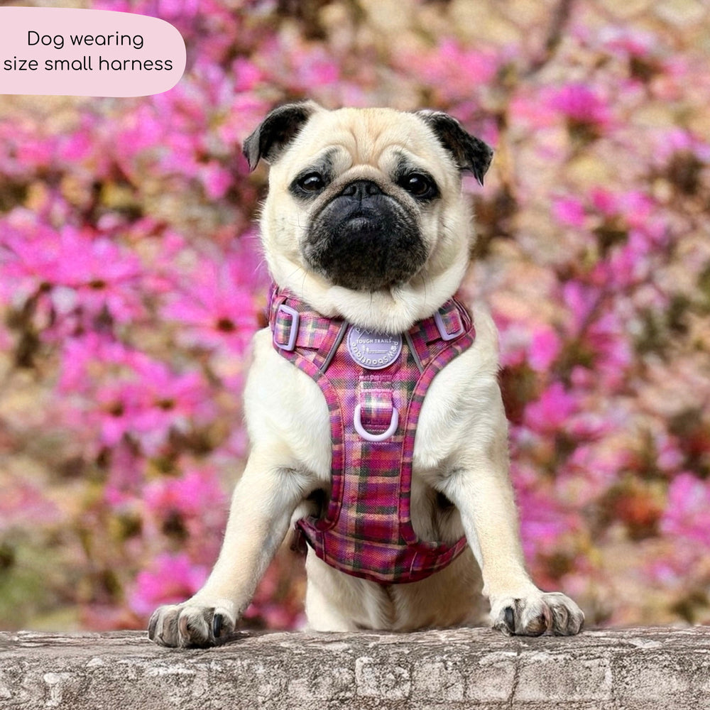 Tough Trails™ Harness -  Tweed Sunset