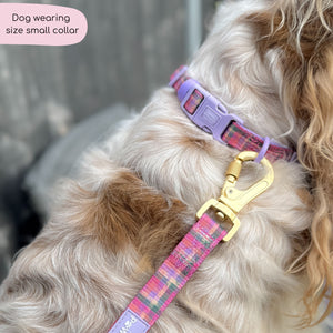 Collar - Tweed Sunset