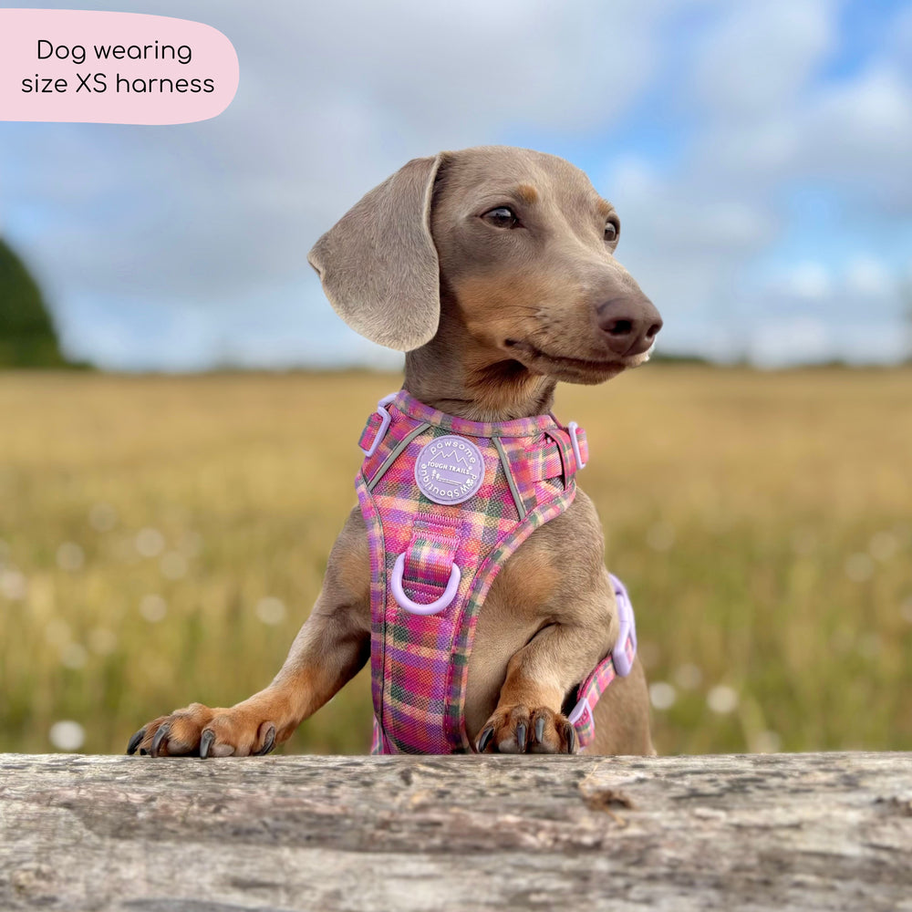 Tough Trails™ Harness -  Tweed Sunset