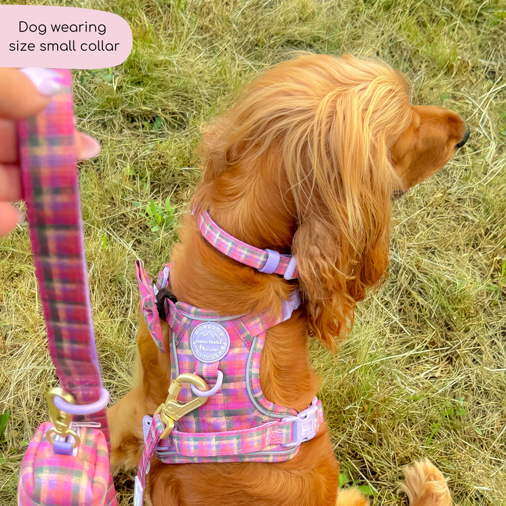 Collar - Tweed Sunset