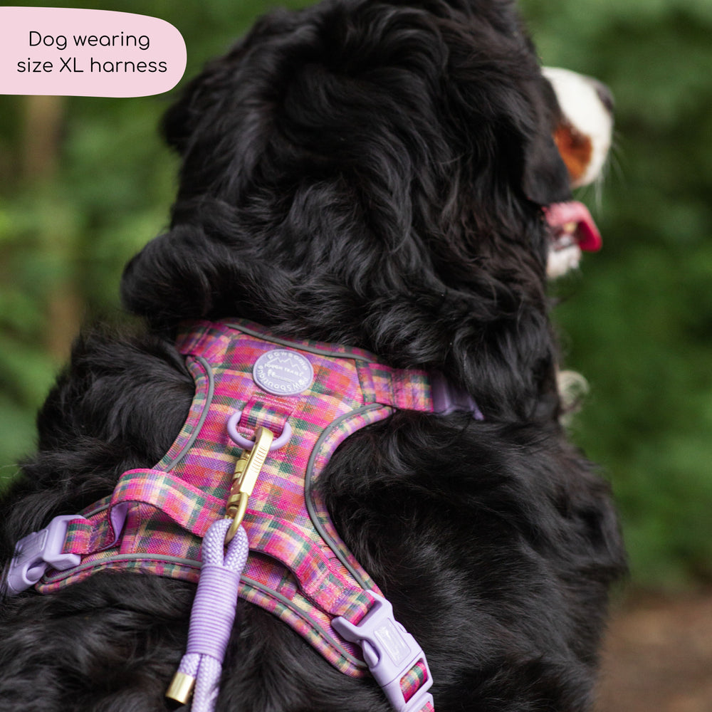 Tough Trails™ Harness -  Tweed Sunset