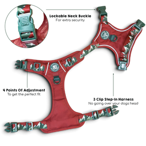 Tough Trails™ Harness - Walkies Ready® Snowy Mountains
