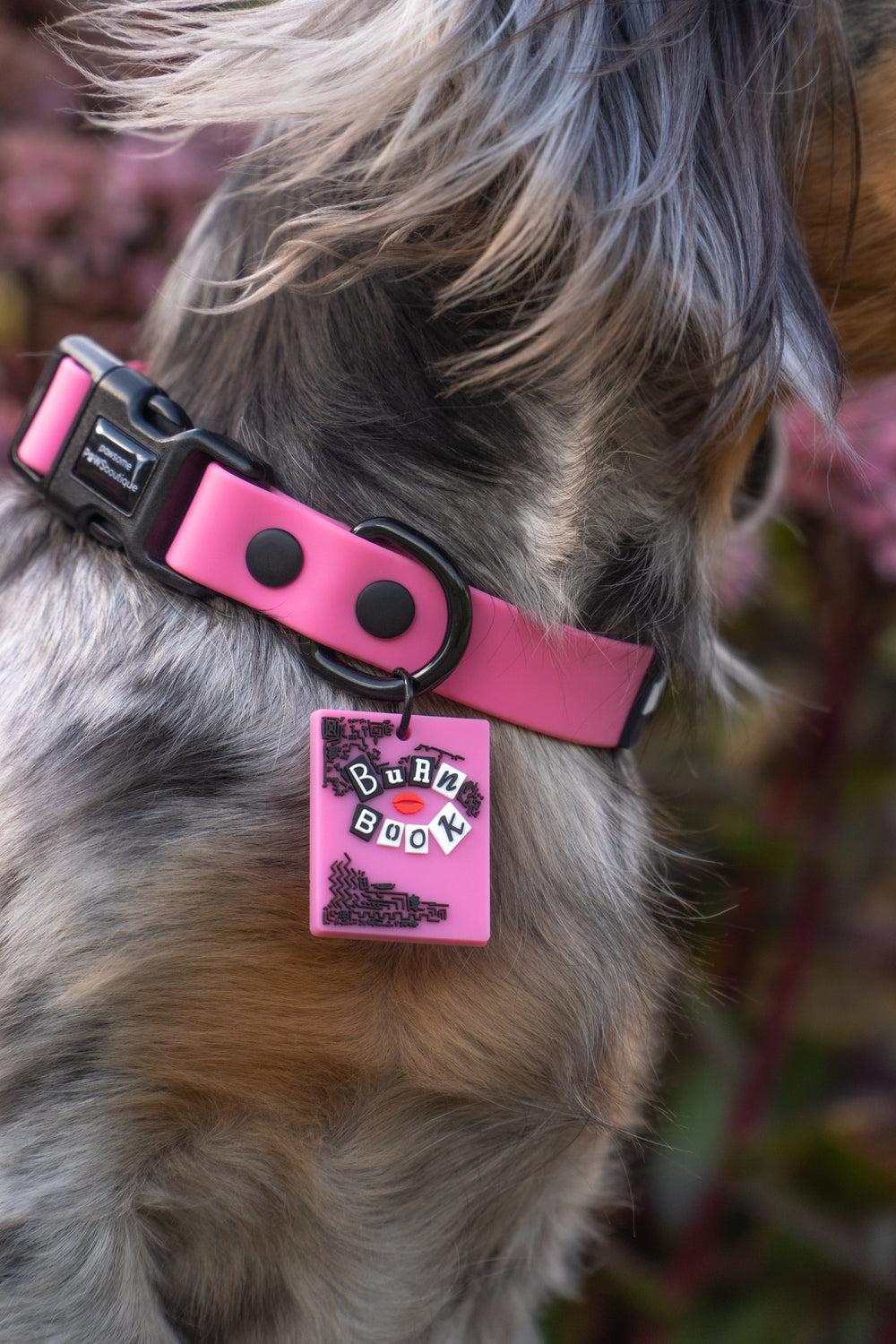 Waterproof Collar - Mean Girls