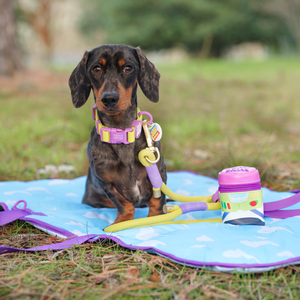 Disney© Treat Pouch - Buzz Lightyear