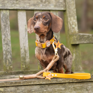 Disney© 4ft Rope Lead - Woody