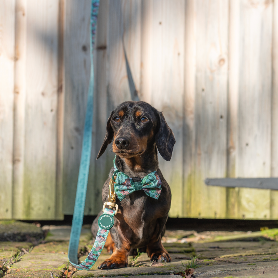 Disney© Disney©Lead - Jungle Book